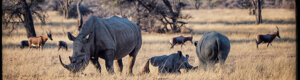 2477_namibia_13-08-26.jpeg