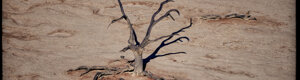 1987_namibia_06-08-26.jpeg