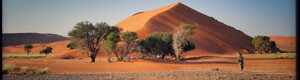 2081_namibia_07-08-26.jpeg