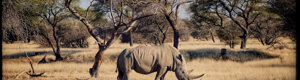2453_namibia_13-08-26.jpeg
