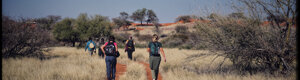 1915_namibia_05-08-26.jpeg