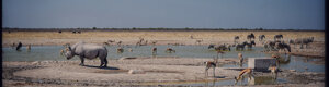 2353_namibia_11-08-26.jpeg