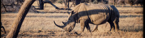 2481_namibia_13-08-26.jpeg