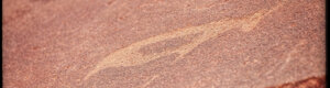 2210_namibia_10-08-26.jpeg
