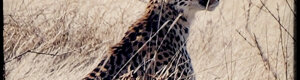 2395_namibia_12-08-26.jpeg