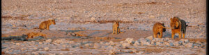 2265_namibia_11-08-26.jpeg