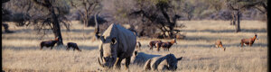 2478_namibia_13-08-26.jpeg