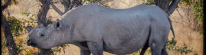 2387_namibia_11-08-26.jpeg