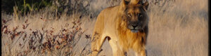 2291_namibia_11-08-26.jpeg