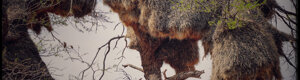 1872_namibia_04-08-26.jpeg