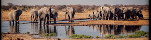2429_namibia_12-08-26.jpeg