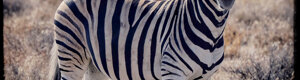 2400_namibia_12-08-26.jpeg
