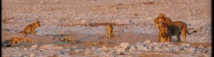 2264_namibia_11-08-26.jpeg