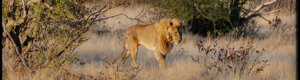 2290_namibia_11-08-26.jpeg
