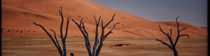 2033_namibia_06-08-26.jpeg