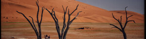 2034_namibia_06-08-26.jpeg