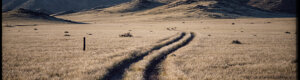 1946_namibia_05-08-26.jpeg