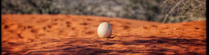 1916_namibia_05-08-26.jpeg