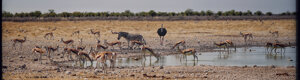 2350_namibia_11-08-26.jpeg