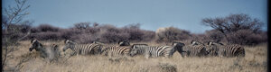 2314_namibia_11-08-26.jpeg