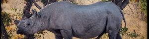 2388_namibia_11-08-26.jpeg