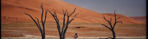 2031_namibia_06-08-26.jpeg