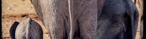 2435_namibia_12-08-26.jpeg