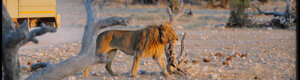 2274_namibia_11-08-26.jpeg