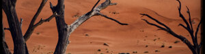 2025_namibia_06-08-26.jpeg