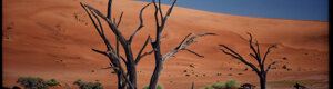 2020_namibia_06-08-26.jpeg