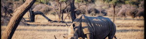 2480_namibia_13-08-26.jpeg