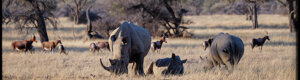 2476_namibia_13-08-26.jpeg