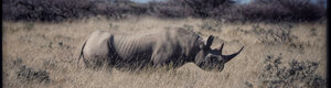 2310_namibia_11-08-26.jpeg
