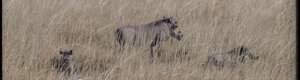2439_namibia_12-08-26.jpeg
