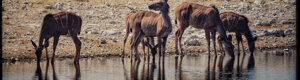 2330_namibia_11-08-26.jpeg