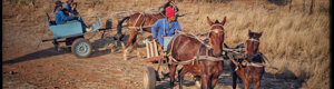 1865_namibia_03-08-26.jpeg