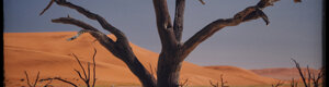 2018_namibia_06-08-26.jpeg