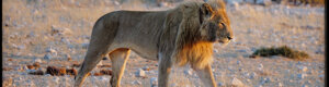 2283_namibia_11-08-26.jpeg