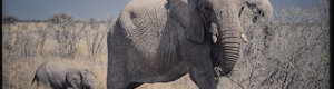2373_namibia_11-08-26.jpeg