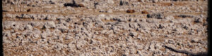 2377_namibia_11-08-26.jpeg