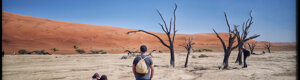 2027_namibia_06-08-26.jpeg
