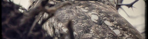 1879_namibia_04-08-26.jpeg
