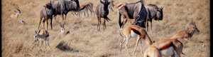 2401_namibia_12-08-26.jpeg