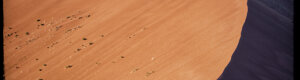 1977_namibia_06-08-26.jpeg