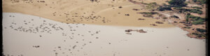 1993_namibia_06-08-26.jpeg