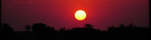 1906_namibia_04-08-26.jpeg
