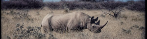 2311_namibia_11-08-26.jpeg