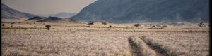 1939_namibia_05-08-26.jpeg
