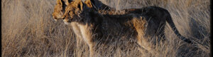2304_namibia_11-08-26.jpeg
