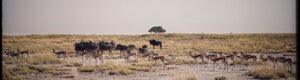 2408_namibia_12-08-26.jpeg